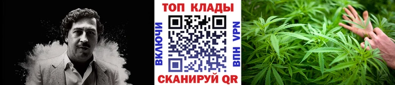 Купить наркотики Елизаветинская ГАШ  Марихуана  Кокаин  A-PVP  МЕФ 