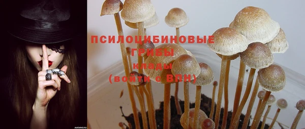 ПСИЛОЦИБИНОВЫЕ ГРИБЫ Балахна