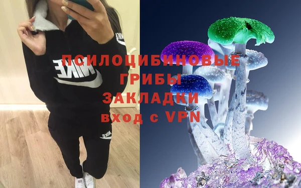 индика Баксан