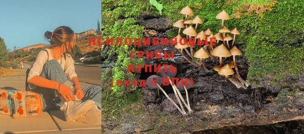 индика Баксан
